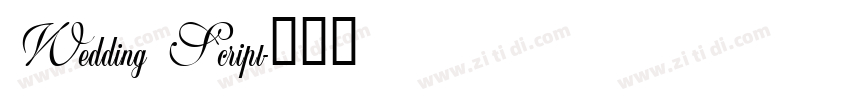 Wedding Script字体转换
